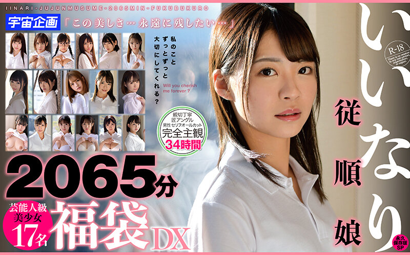 いいなり従順娘2065分芸能人級美少女17名 福袋DX サンプル画像 2