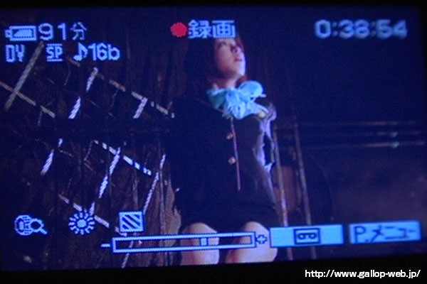 女体いたぶり倶楽部 01 客室乗務員編 辻本りょう サンプル画像 4
