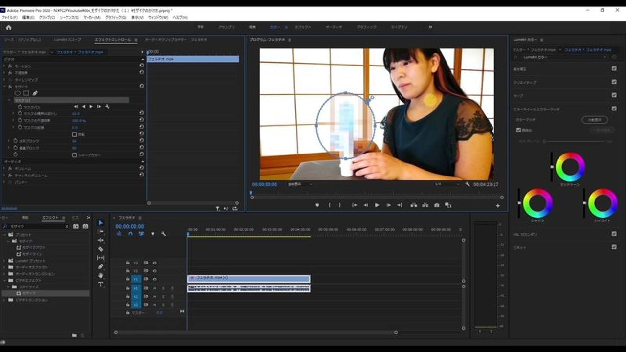 【上級者向け】アダルトビデオのモザイクのかけ方！応用編 サンプル画像 2