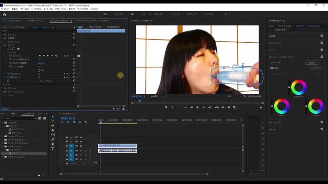【上級者向け】アダルトビデオのモザイクのかけ方！応用編 サンプル画像 3