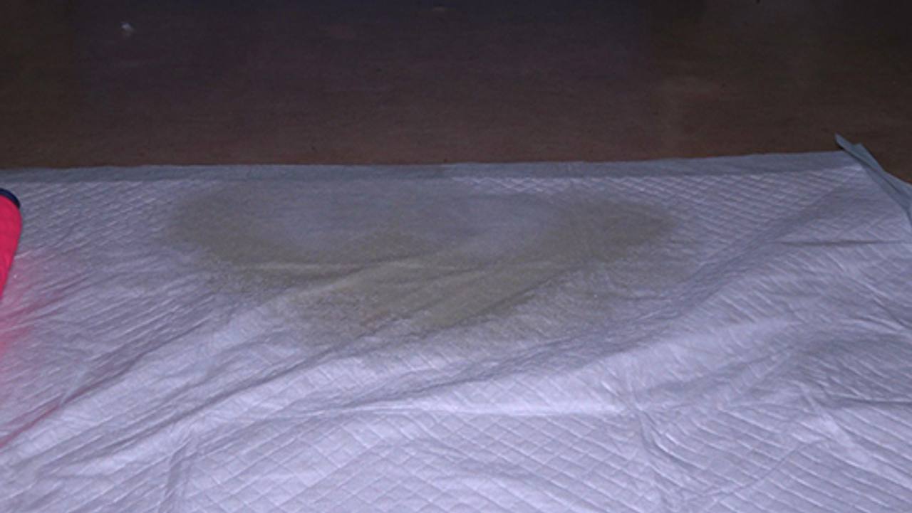 裏オプ個撮03背徳感漂う美人先生のダブルワークｗ個撮で割れ目から飛び出す潮潮潮ｗ サンプル画像 10