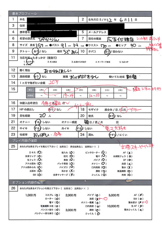ぴかりん サンプル画像 1