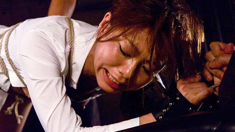四つん這いにされて 奥の奥まで責められて 発狂しながらイク女 屈辱の後背晒しイキ 激アツ総集編 SUPERLATIVE ECSTASY FILE サンプル画像 4
