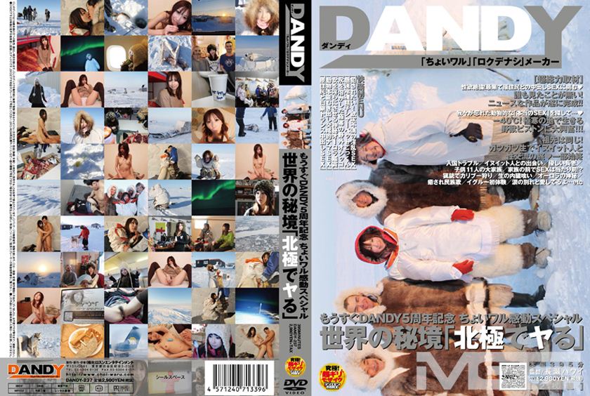 DANDY-237