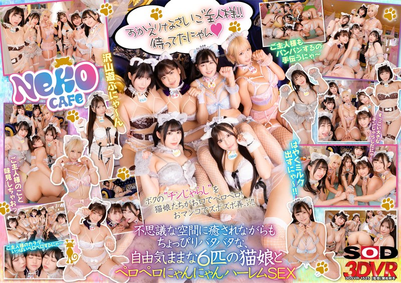 3DSVR-1525 【VR】猫カフェ行ったらまさかの猫娘の登場！？～舐められまくりの自由気ままなにゃんにゃんハーレムSEXだにゃん～