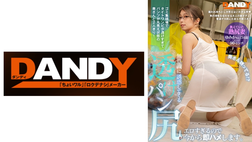DANDY-856C