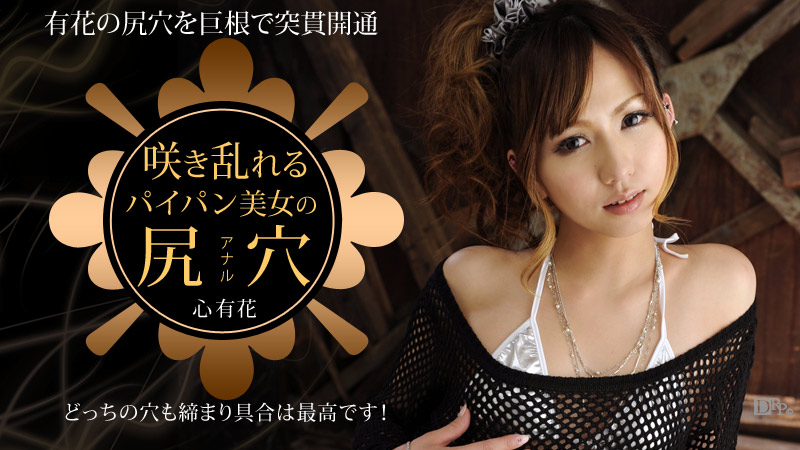 012913-249/091511_157